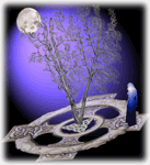 Rune and Tarot Readings